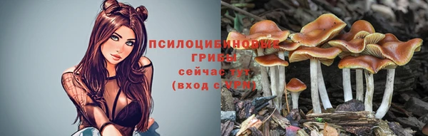 jwh Арсеньев