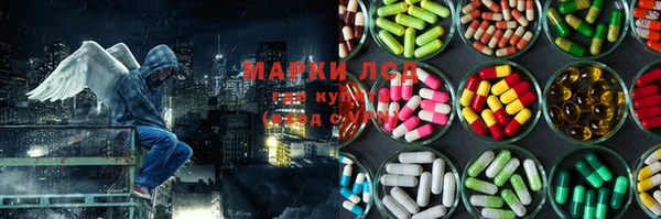дурь Алзамай