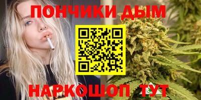 дмт Славгород