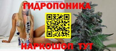дмт Славгород