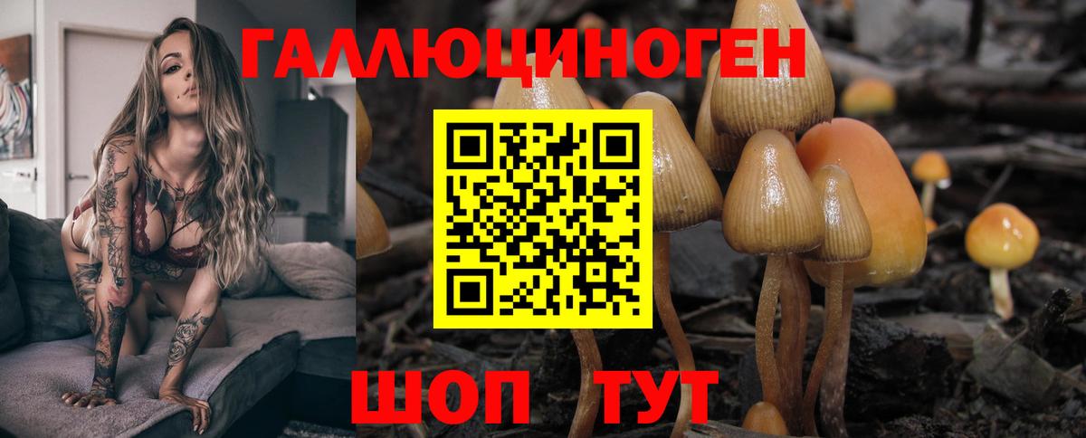 Галлюциногенные грибы GOLDEN TEACHER Подольск